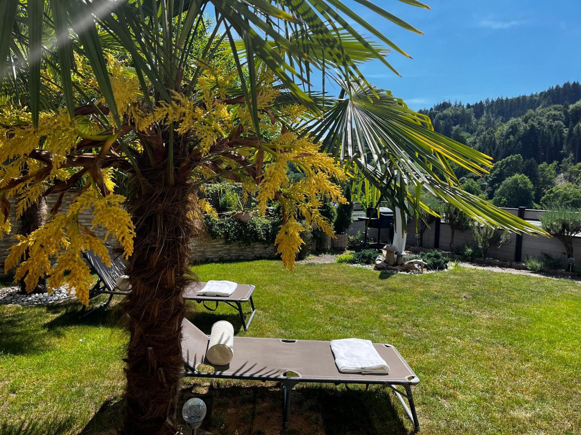 Wellness Fewo Szymecki Schonau  Exteriér fotografie